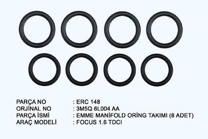 EMME MANIFOLD ORINGI TAKIM C.MAX FOCUS DW6 206 307