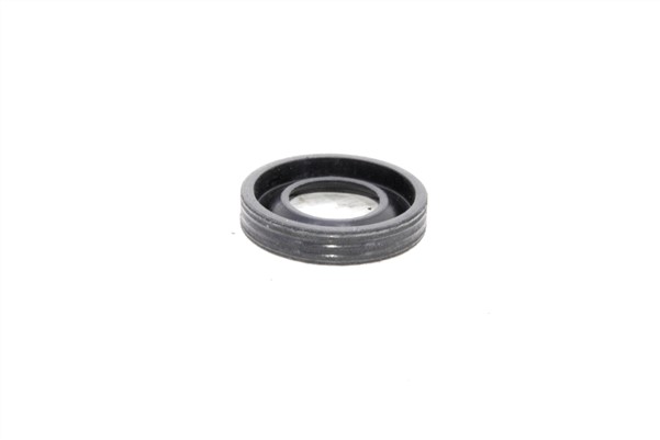 ENJEKTOR KECE C.MAX FOCUS 04>