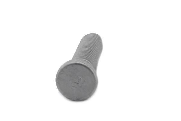 BIJON SAPLAMASI