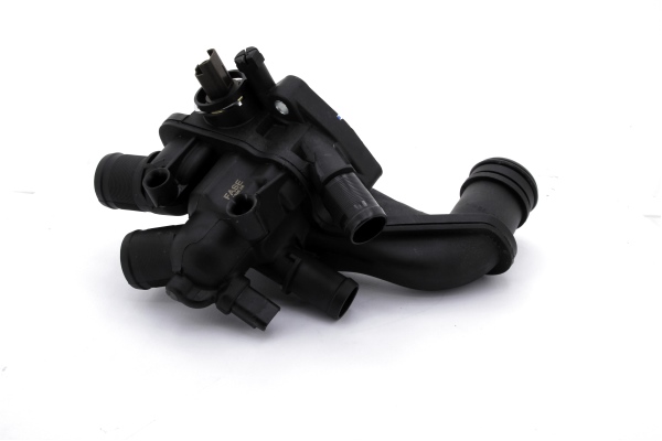 TERMOSTAT KOMPLE 207-308-C4-C4PCS-DS4-DS3 EP6