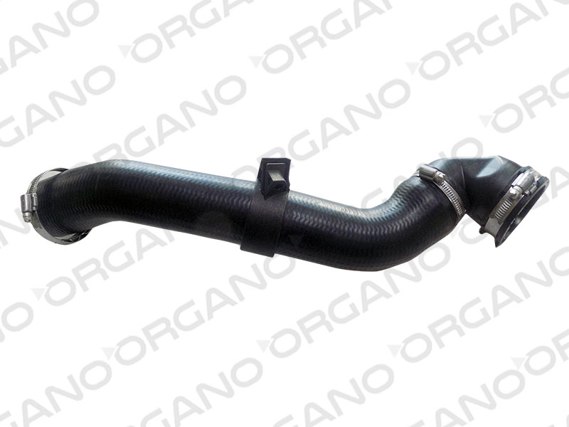 INTERCOL HORTUMU FOCUS-C.MAX 1.6 TDCI 04>