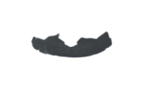 F.FOCUS ARKA CAMURLUK DAVL.RH.11-
